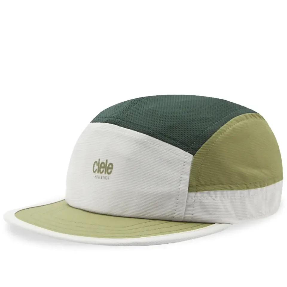 ALZCap Small