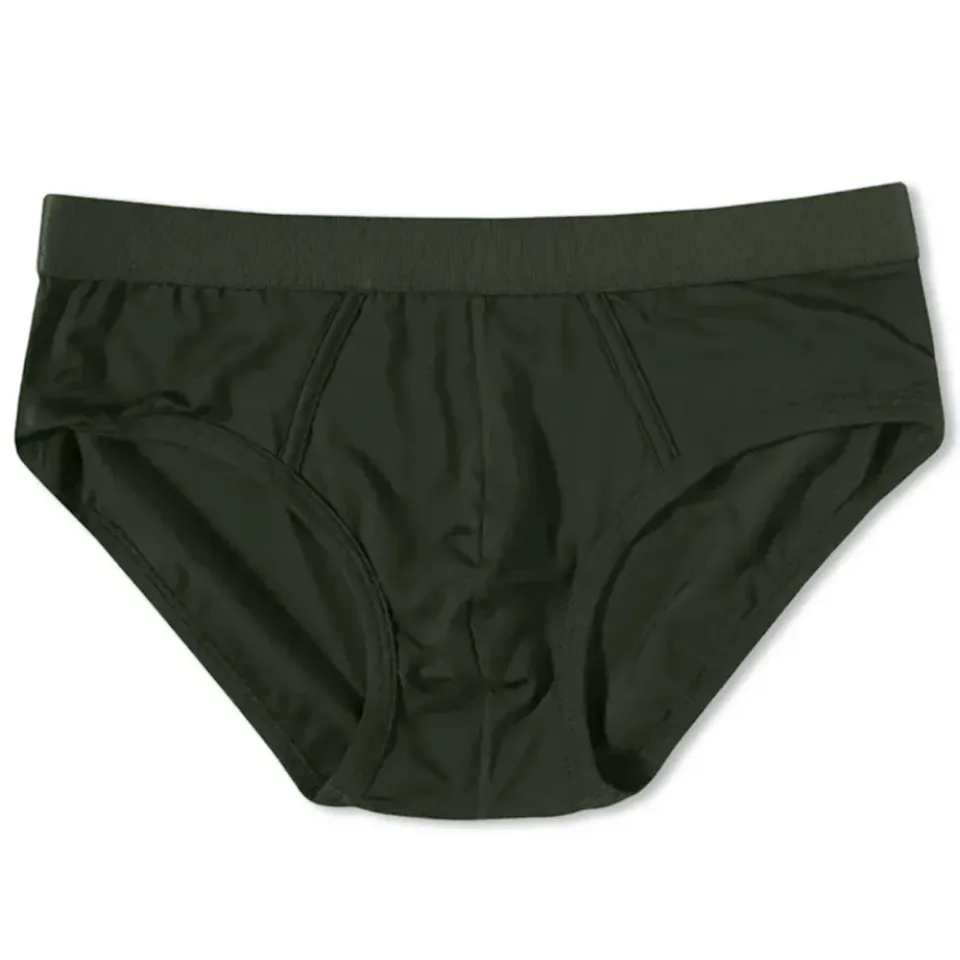Brief