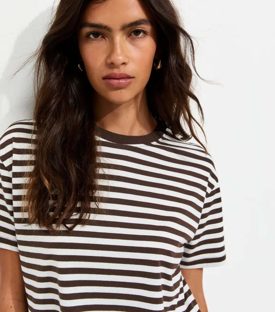 Women's Brown Cotton Striped Boxy Crew Neck T-Shirt