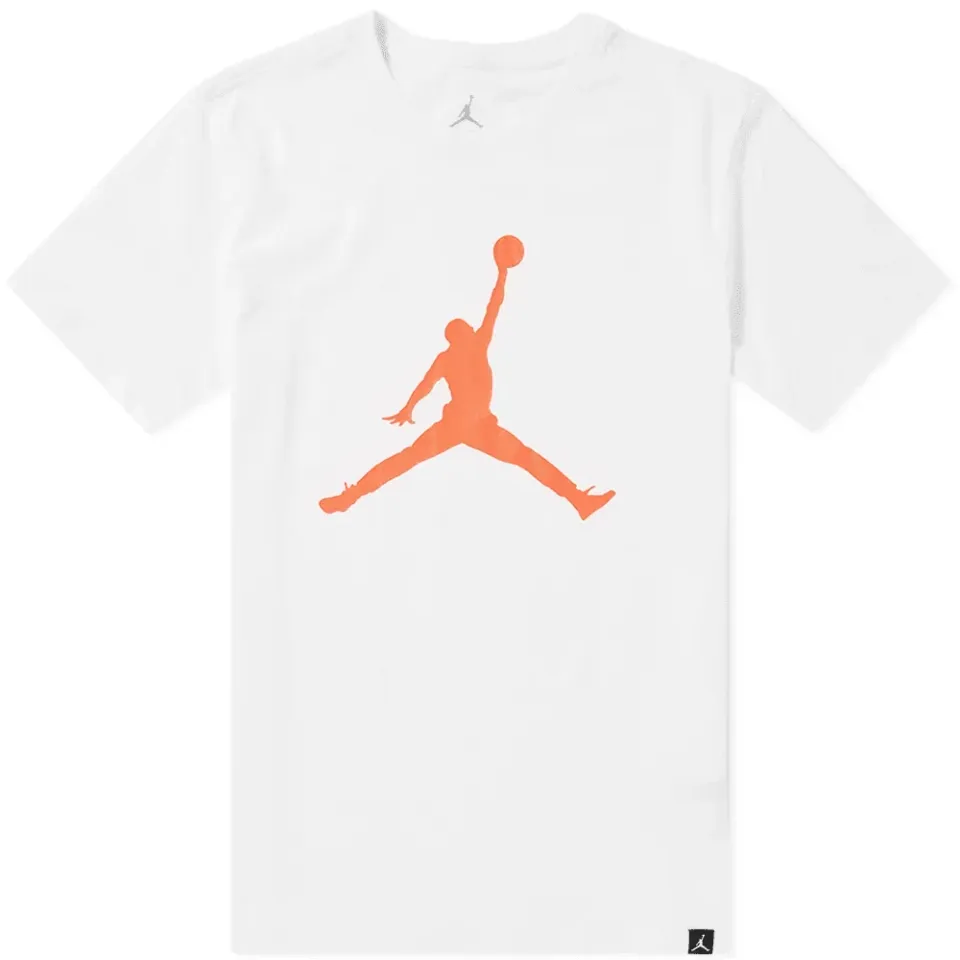 Air Jordan Iconic Jumpman 23