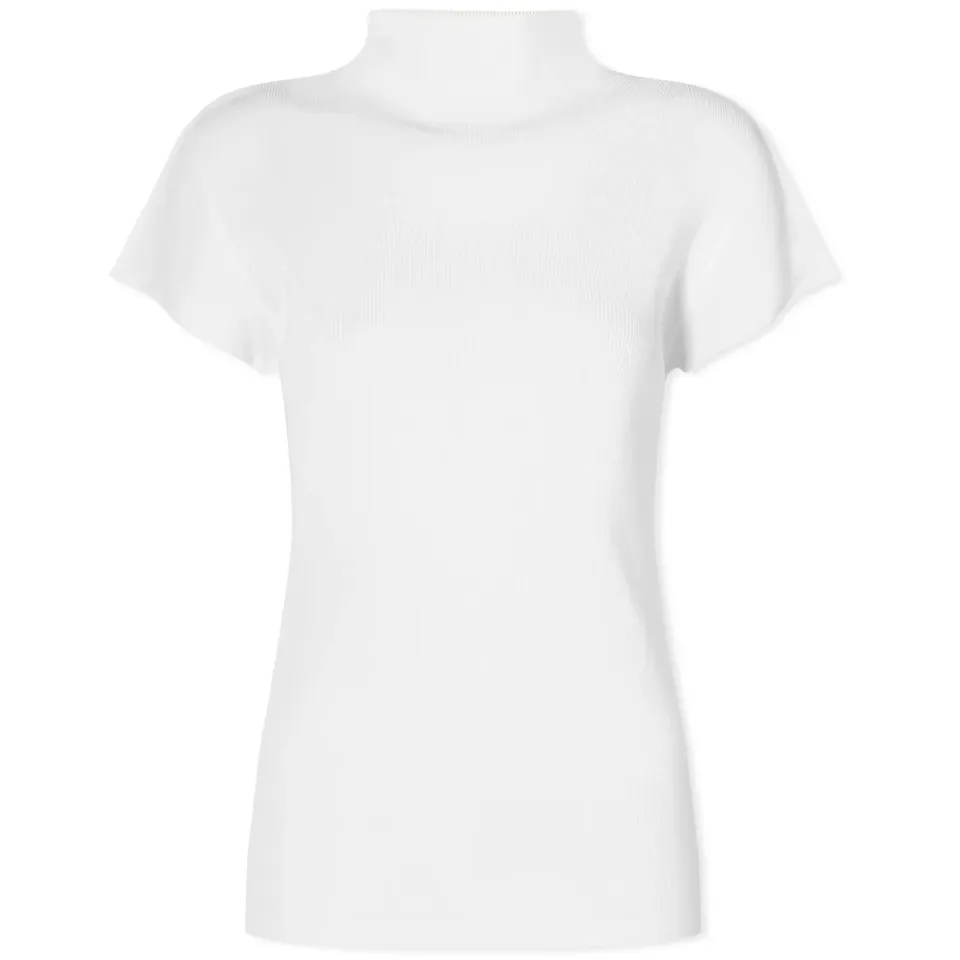 Mist Basics Top