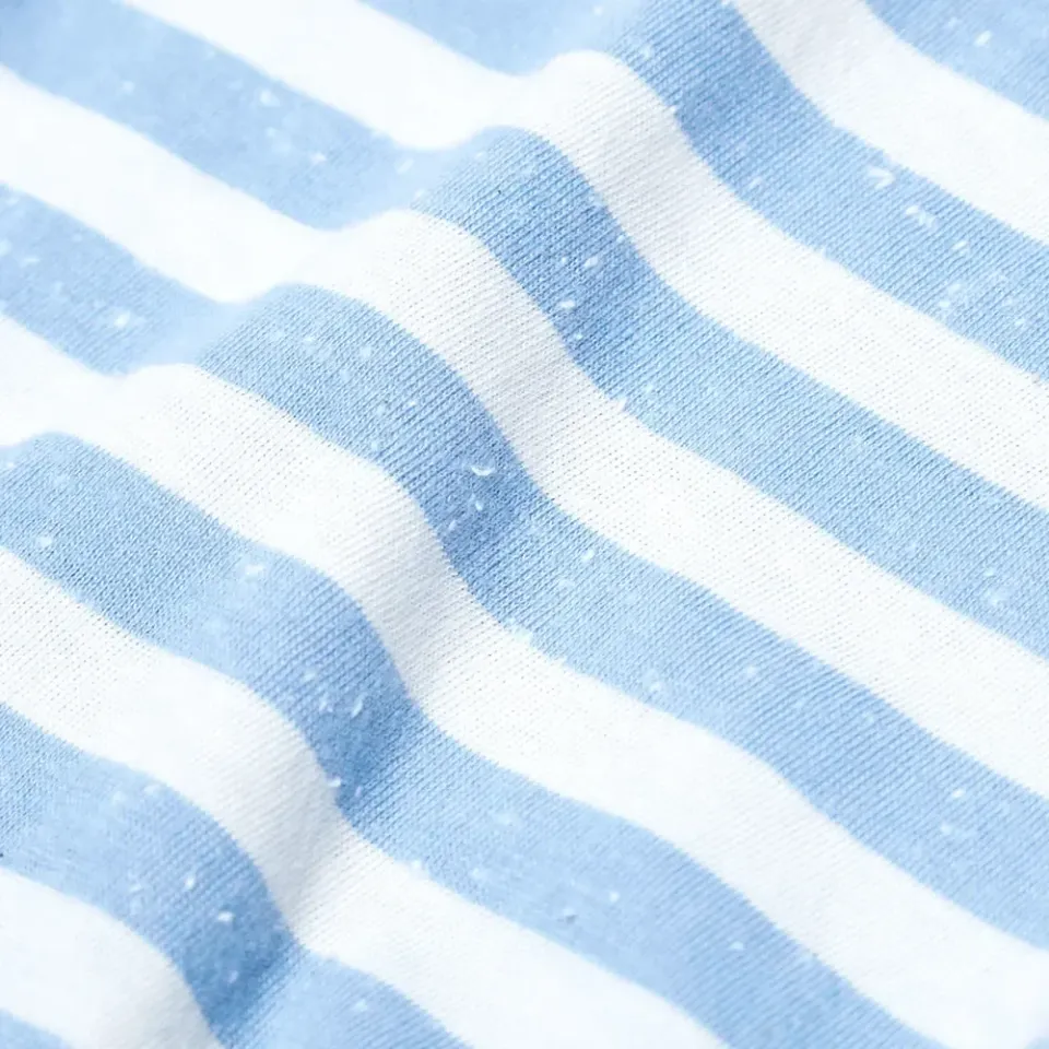 Japanese Jersey Stripe Crew Tee