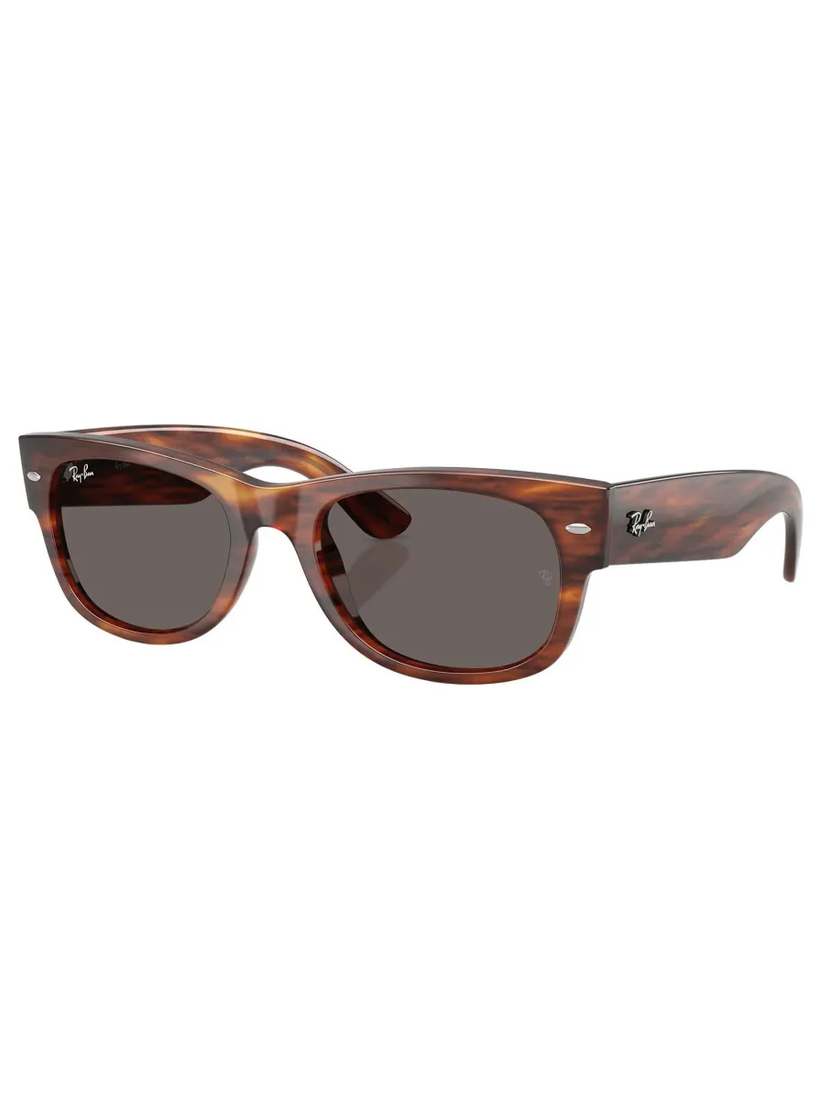 Mega Wayfarer II Sunglasses