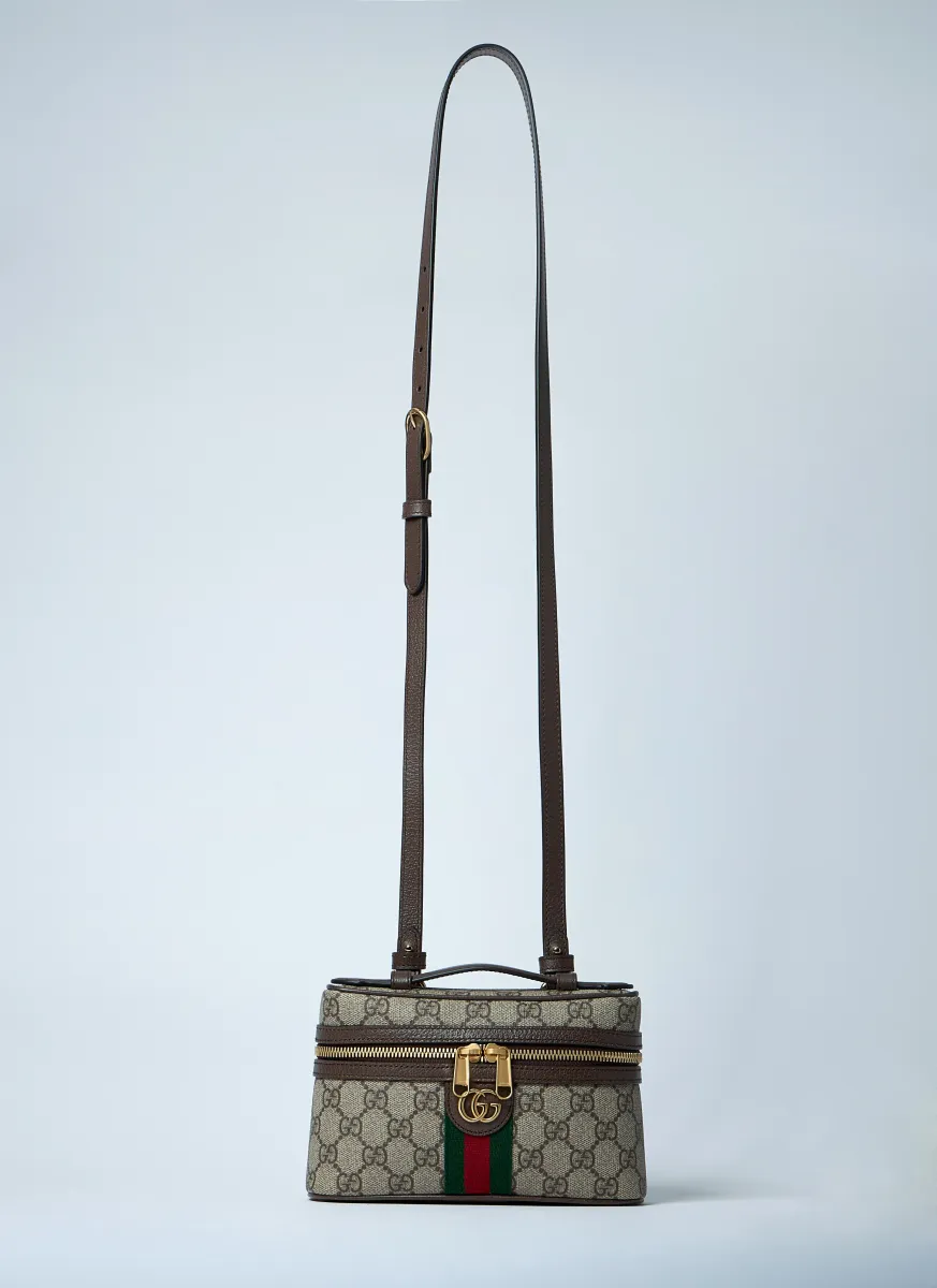 Small Ophidia Vanity Bag