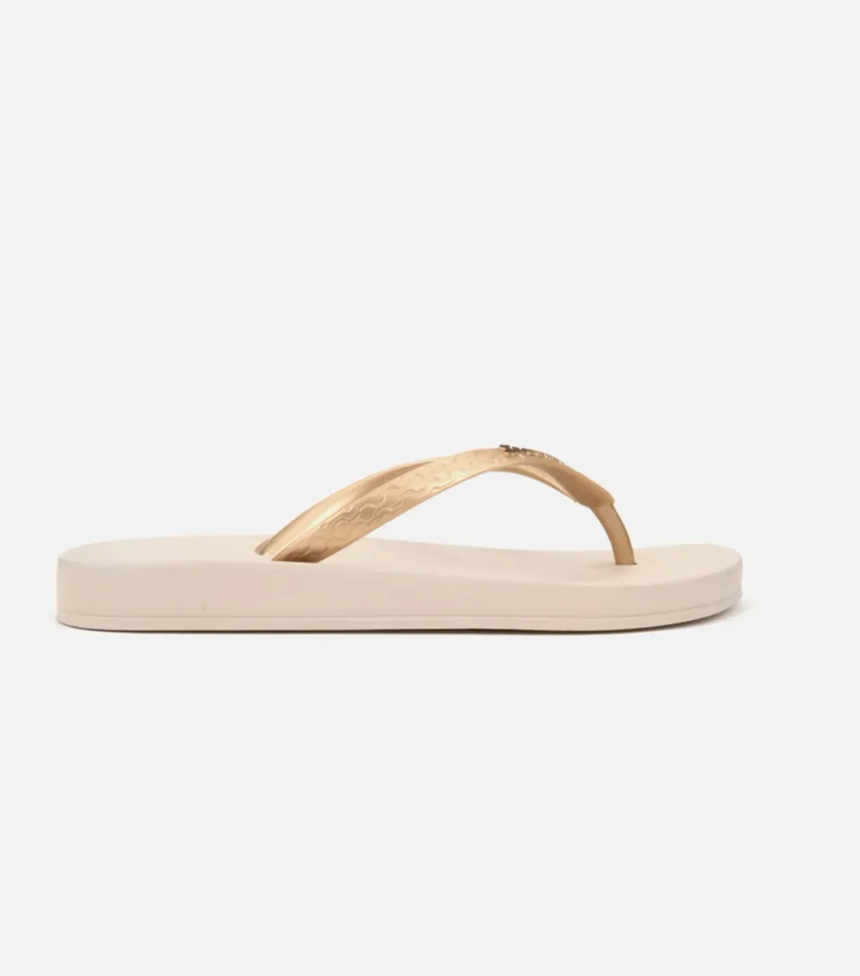 Women's Tan and Gold Anatomica Flip Flops