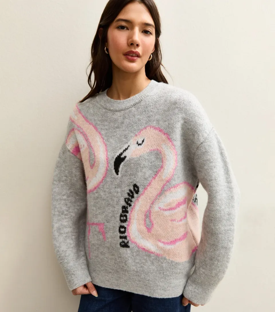 Women's Light Grey Flamingo Slogan Midweight Knit Jumper