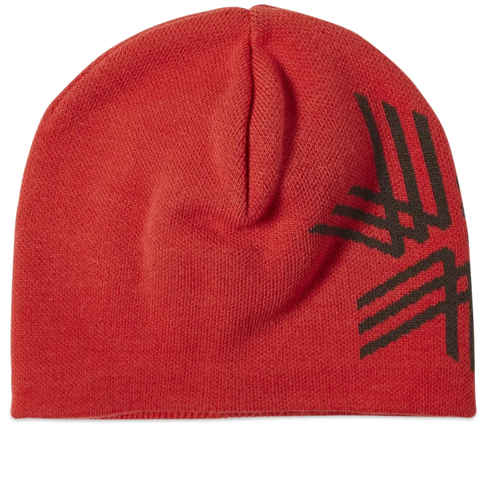 Big Logo Beanie