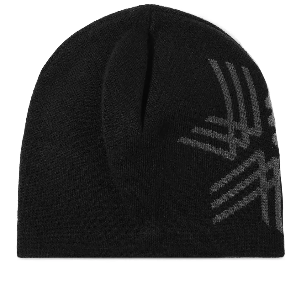 Big Logo Beanie