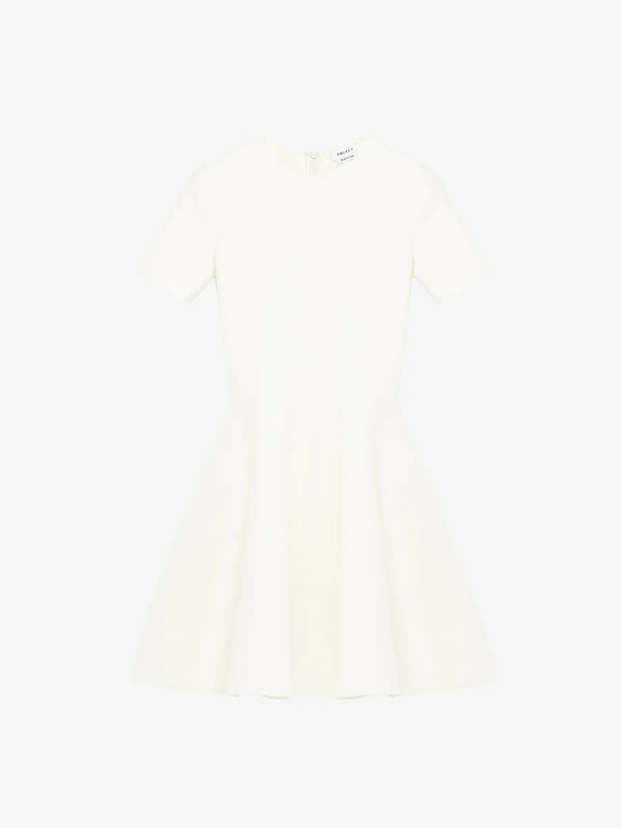 Fit And Flare Mini Dress