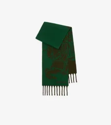 Reversible Knight Wool Scarf in Marsh green
