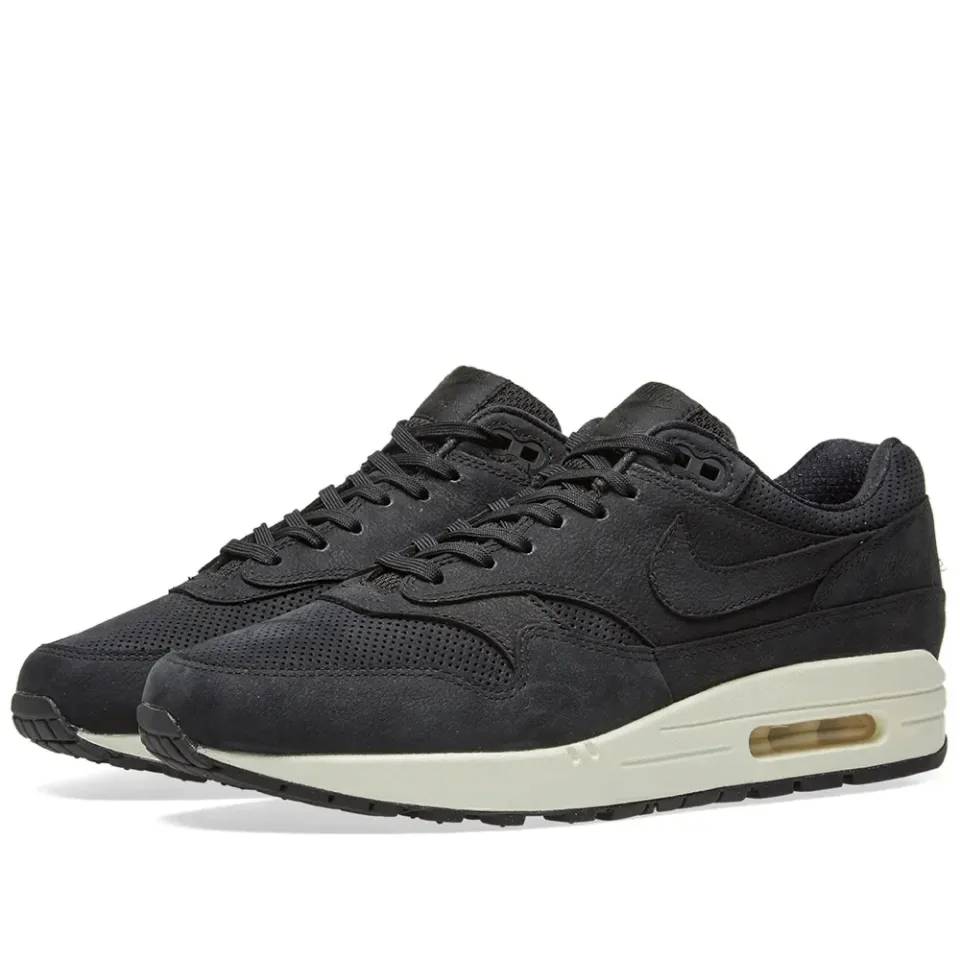 W Air Max 1 Pinnacle