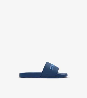 Logo Slides in Navy/cornflower blue