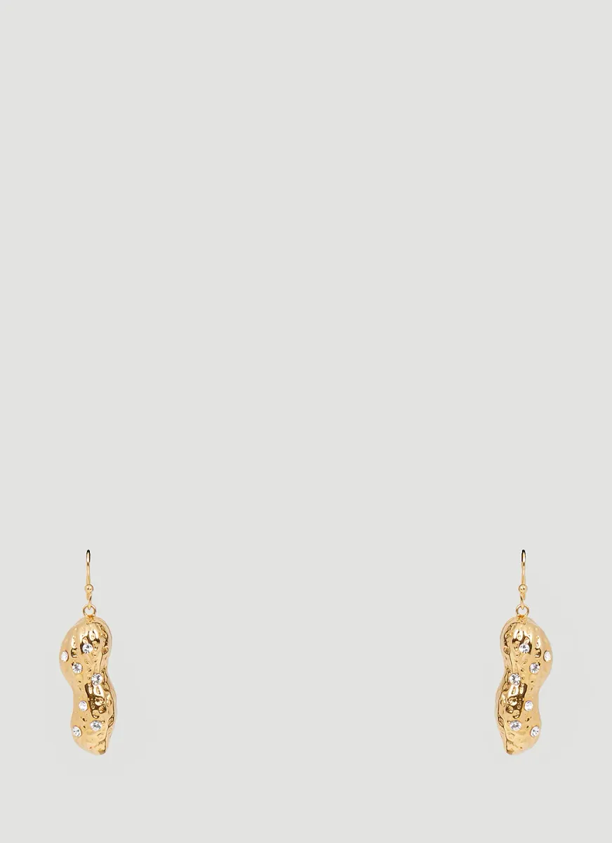 Charm Earrings