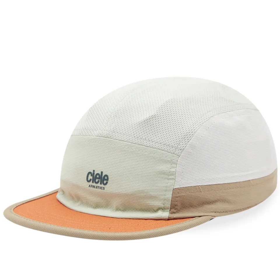 ALZ Cap