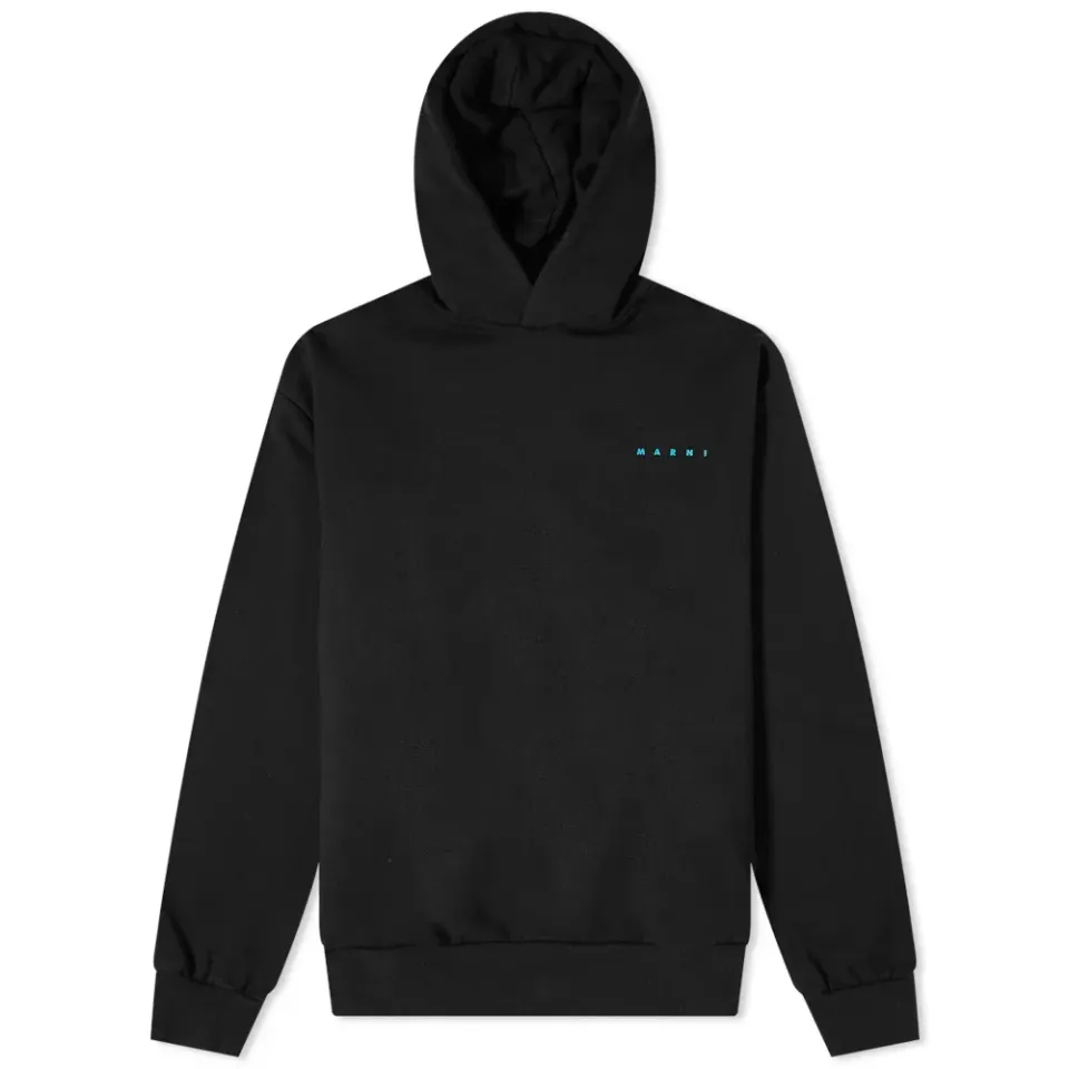 Logo Graphic Back Popover Hoodie