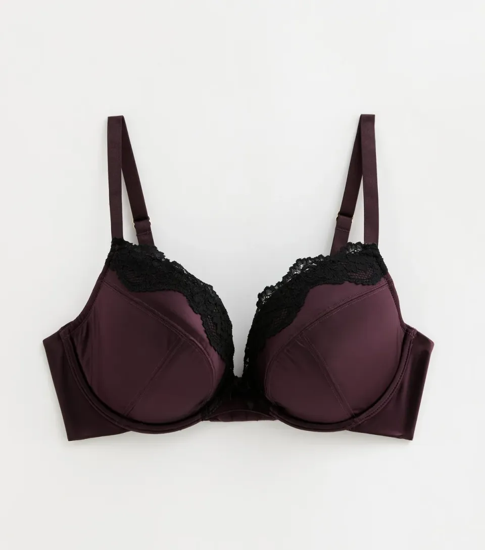 Women's Dark Purple Satin & Lace Plunge DD Plus Bra