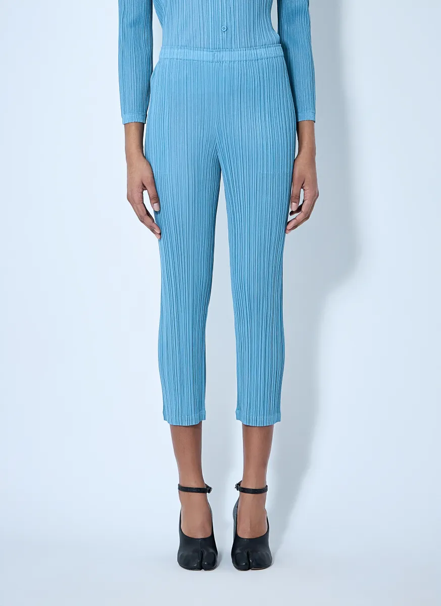 Pleated Pants