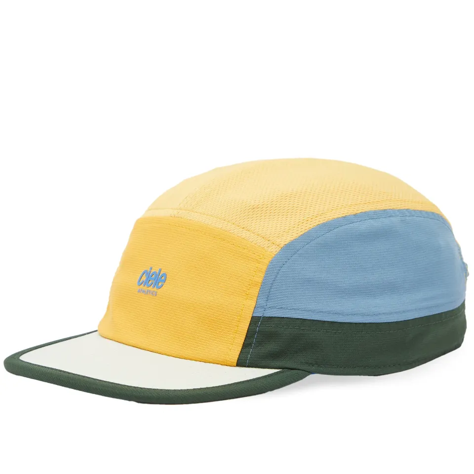ALZ Cap