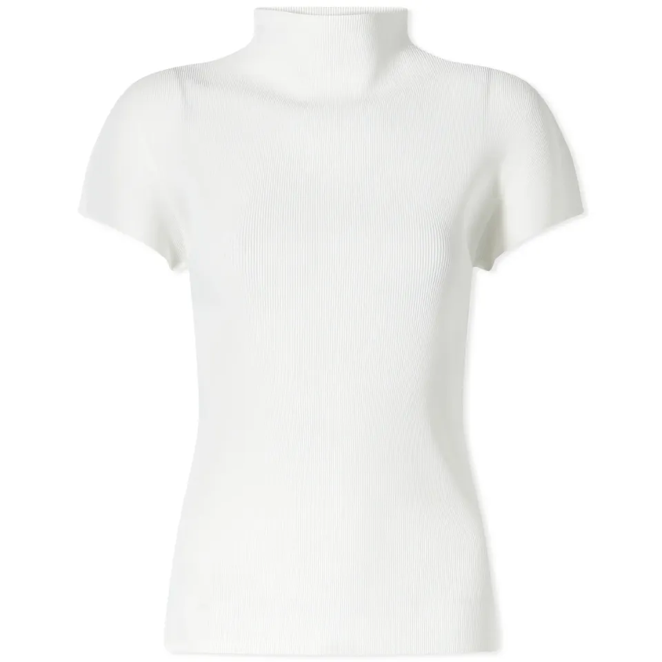 Mist Basics Top