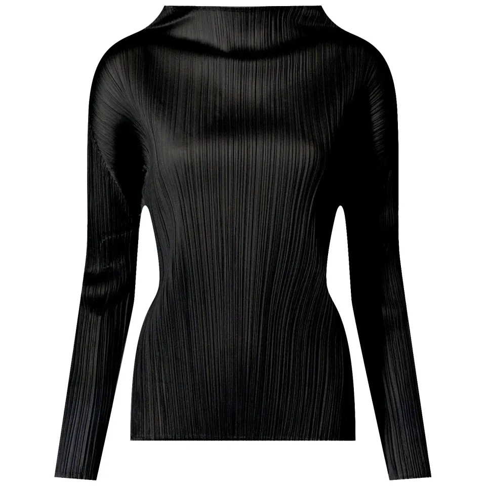 Basics Pleats Roll Neck Long Slee