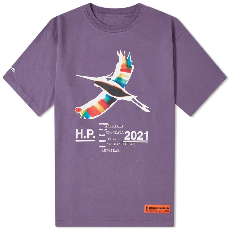 Oversized Heron Rainbow T-Shirt