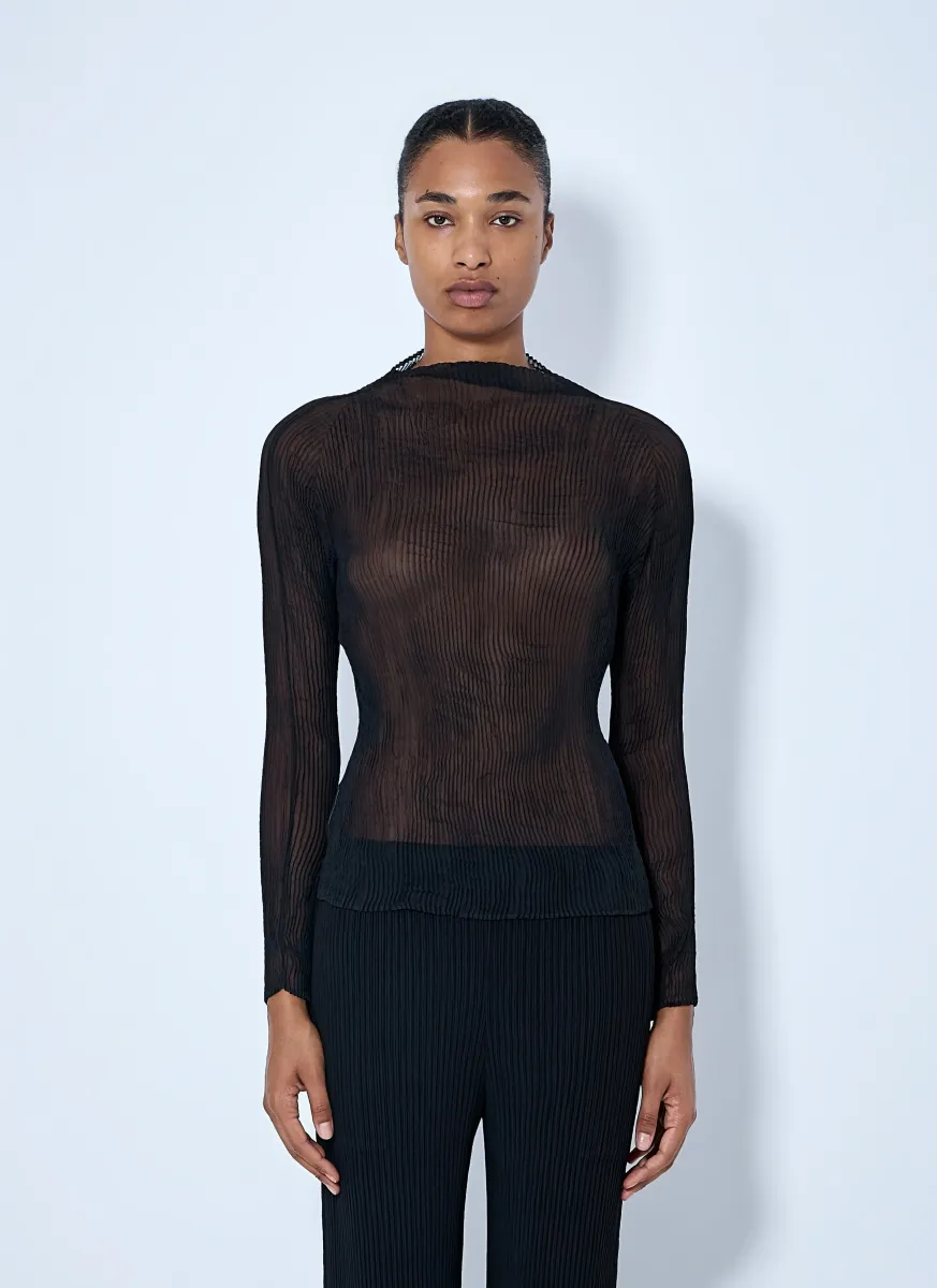 Sheer Pleated Top