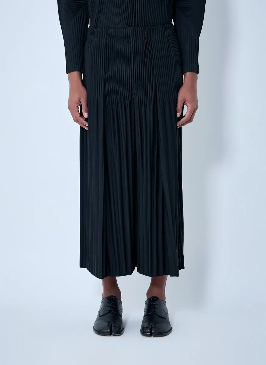 Pleated Pants