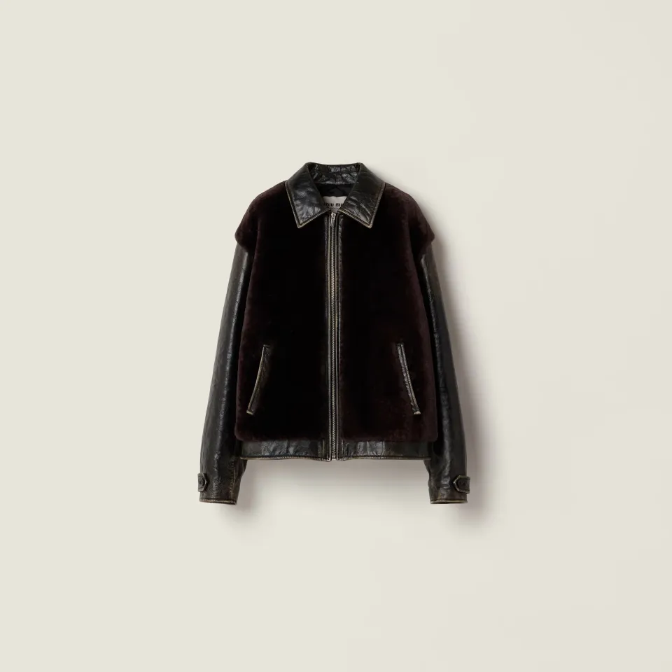 Leather and shearling blouson jacket