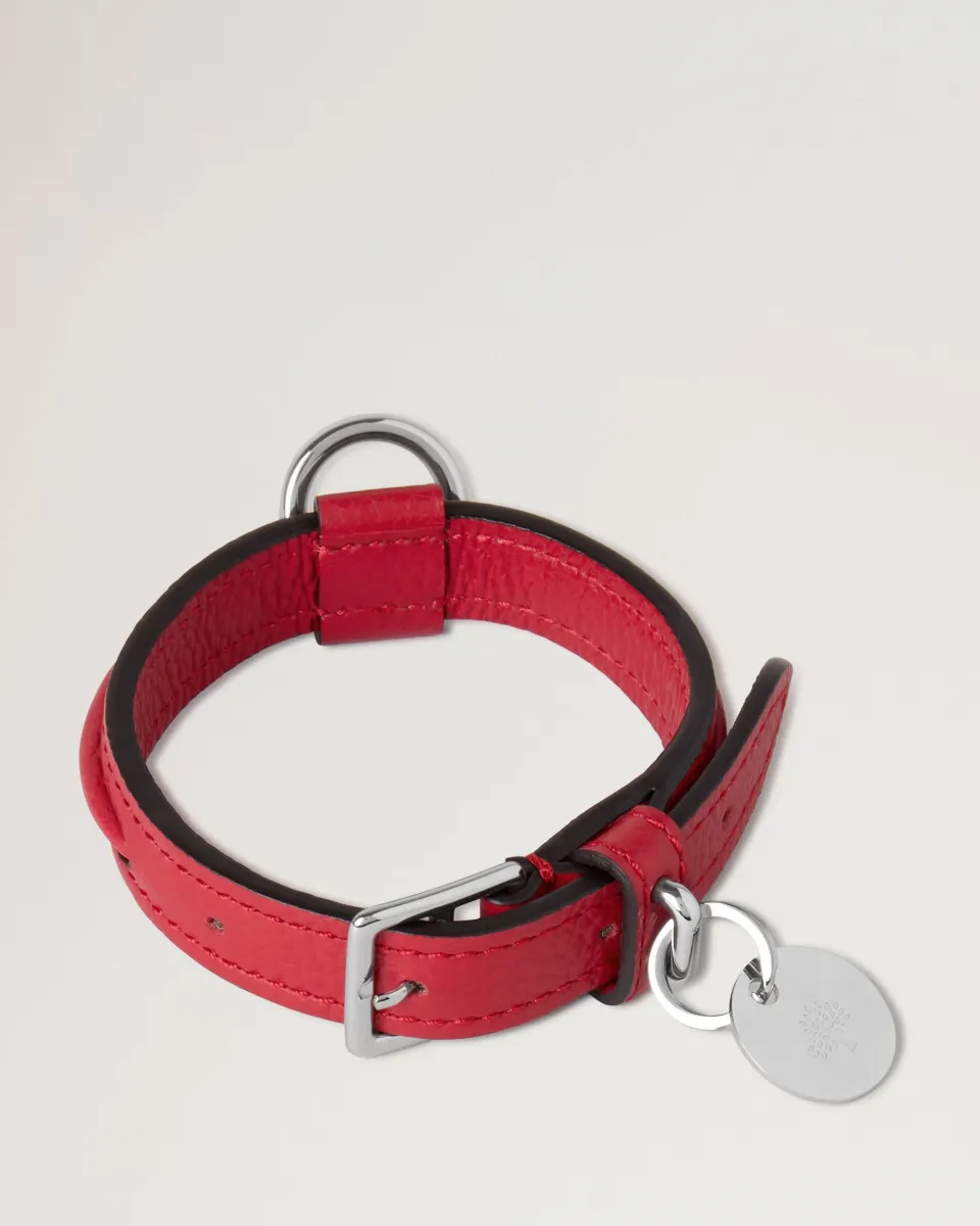 XS Leather Dog Collar