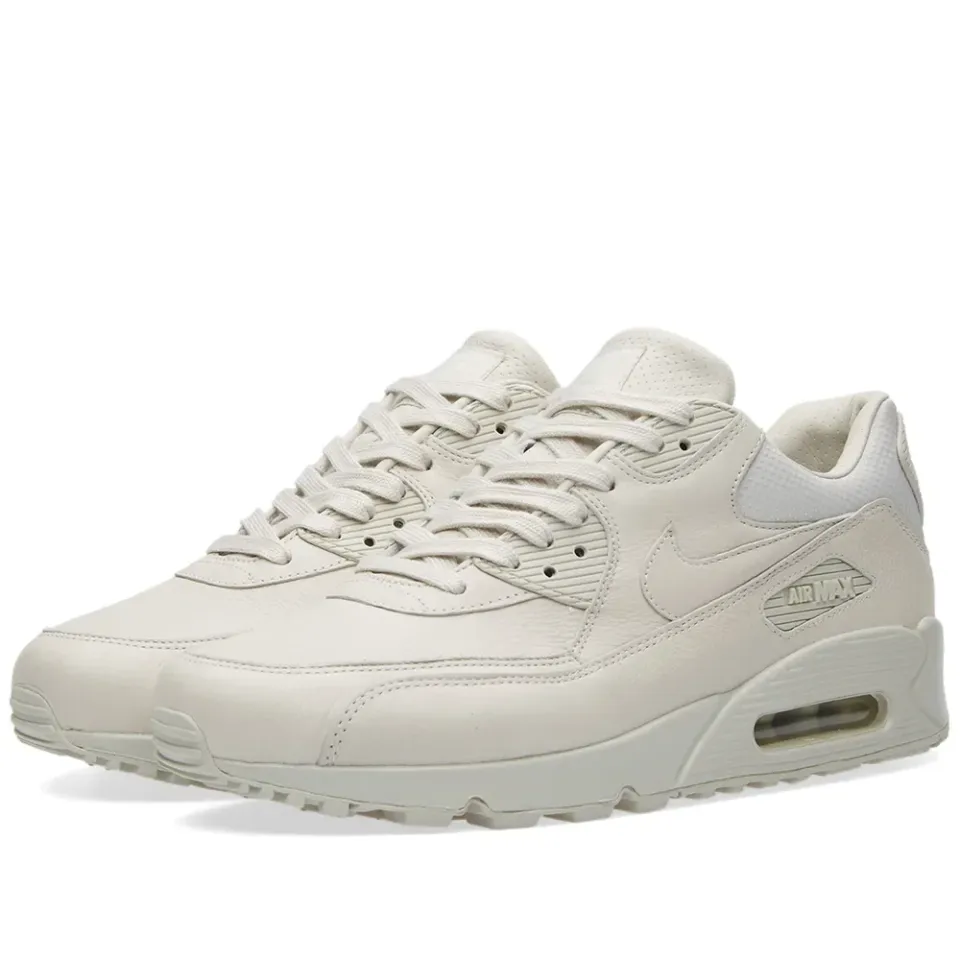 W Air Max 90 Pinnacle
