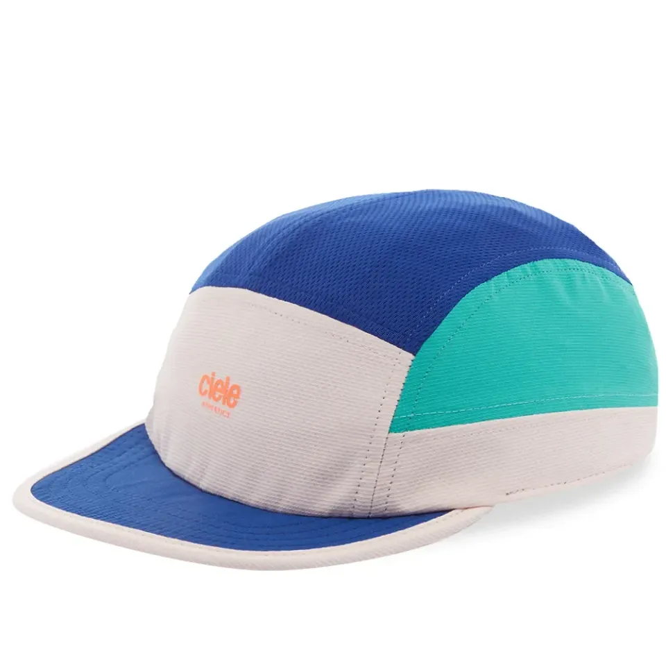 Logo ALZ Cap