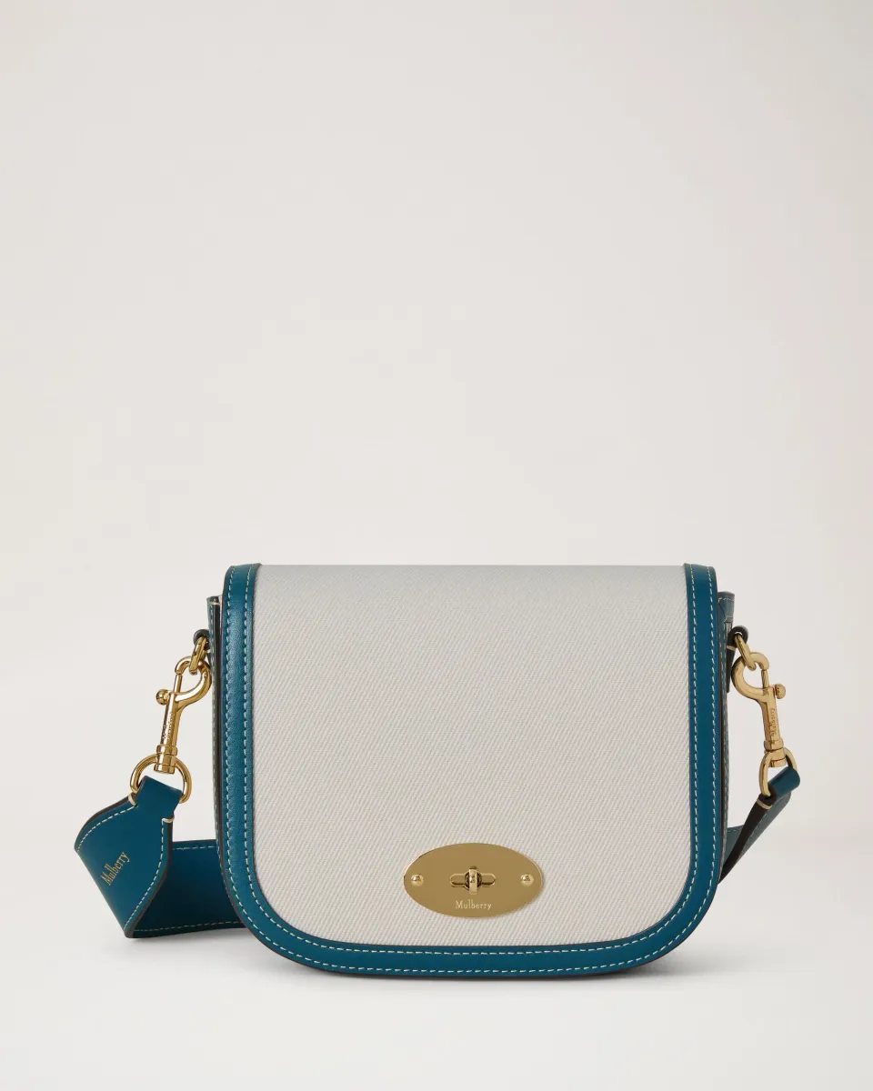 Small Darley Satchel