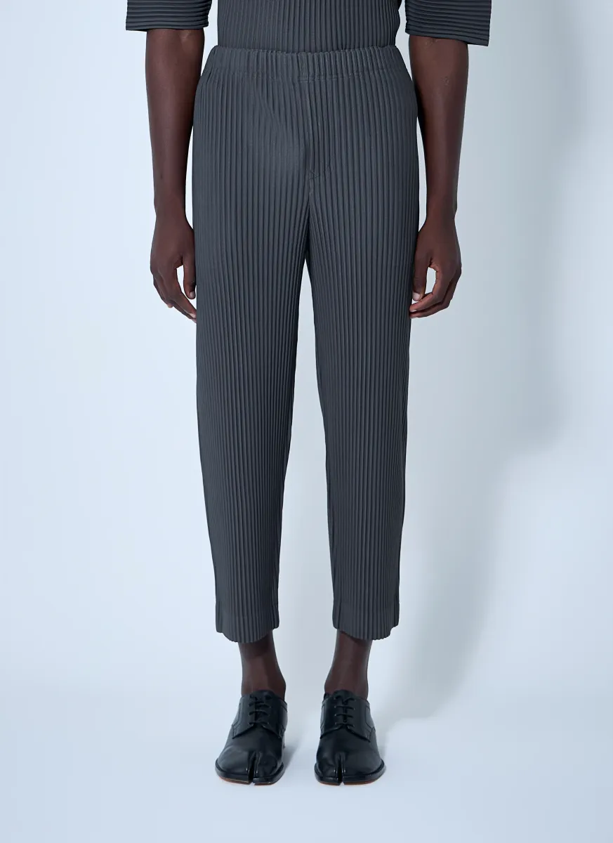 Pleated Pants