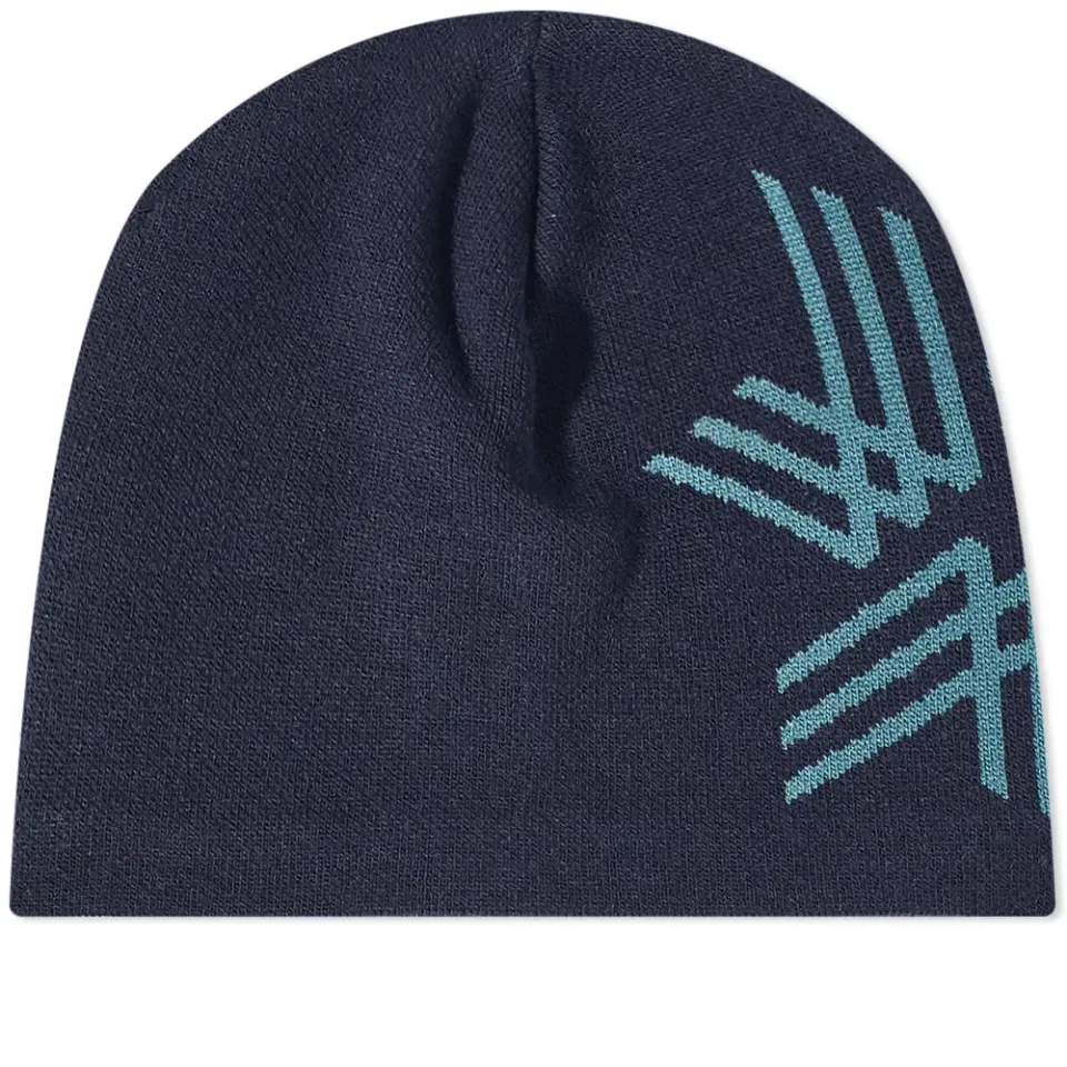 Big Logo Beanie