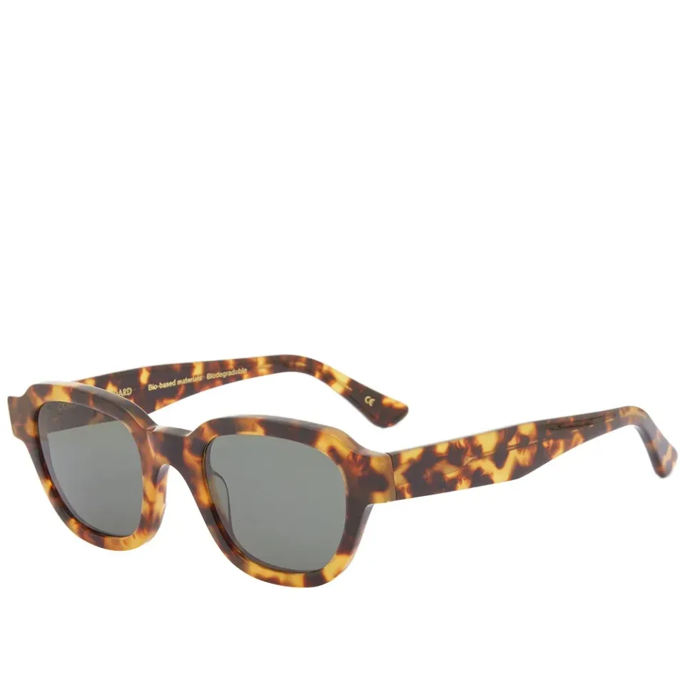 Sunglass 13