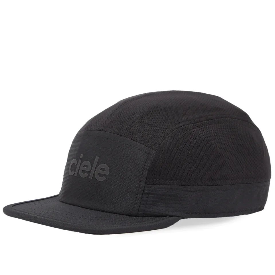 ALZ Cap