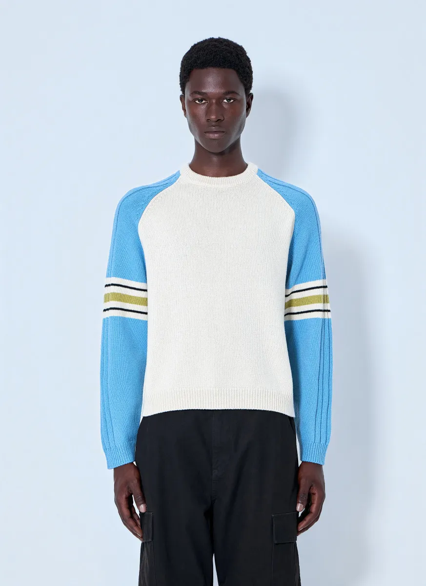 Stripe Raglan Crewneck Sweatshirt