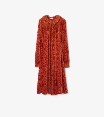 Baroque Silk Blend Velvet Dress in Dragon red
