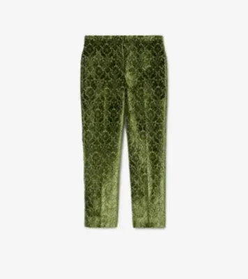 Baroque Velvet Tailored Trousers in Green