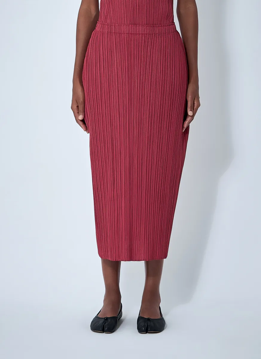 Pleated Skirt