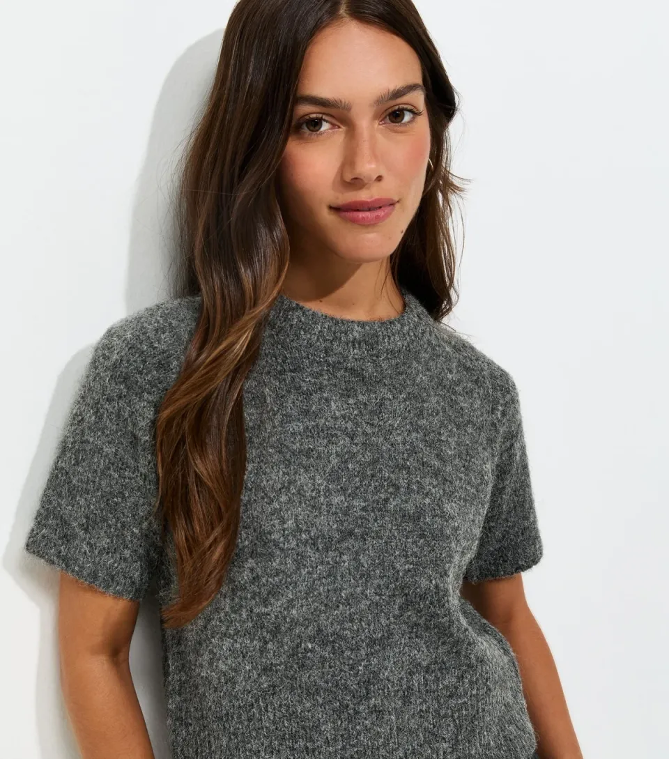 Women's Petite Dark Grey Brushed Knit Short Sleeve Top