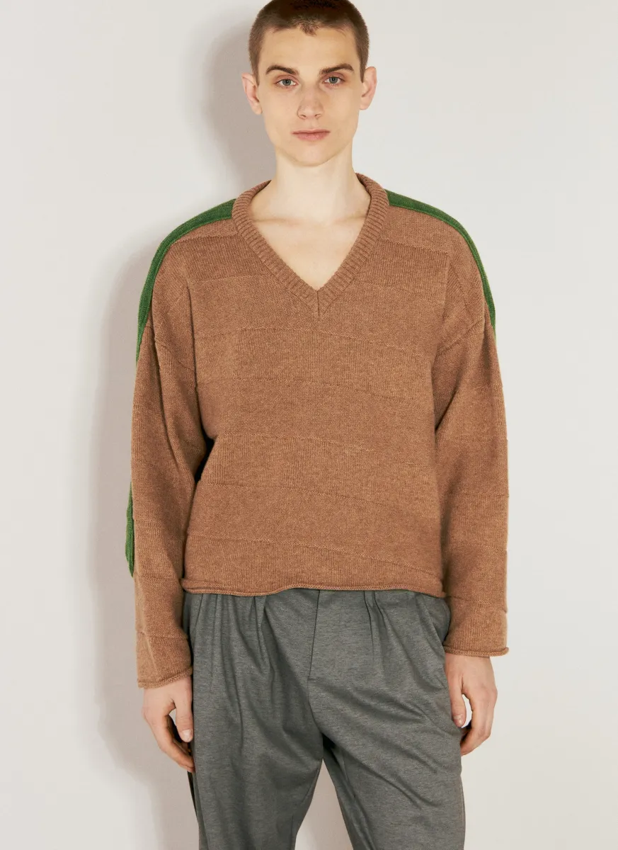 Delian V-Neck Sweater