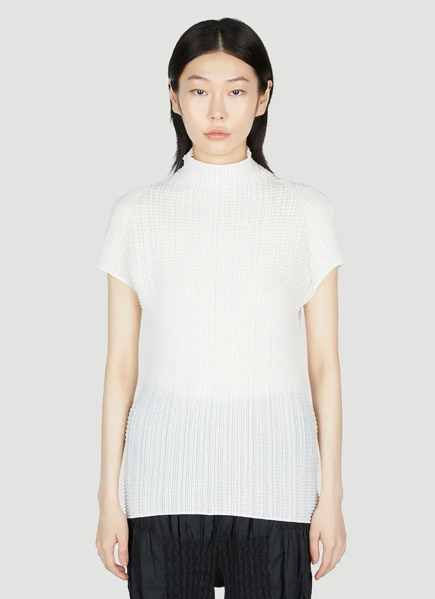 Wooly Pleats Top