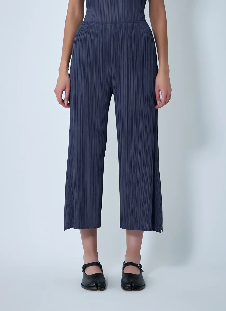 Pleated Pants