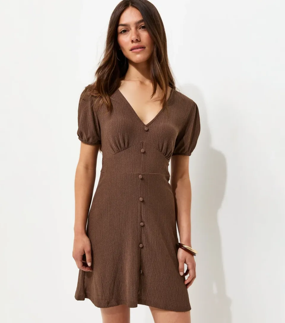 Women's Petite Brown V Neck Crinkle Jersey Short Sleeve Mini Dress