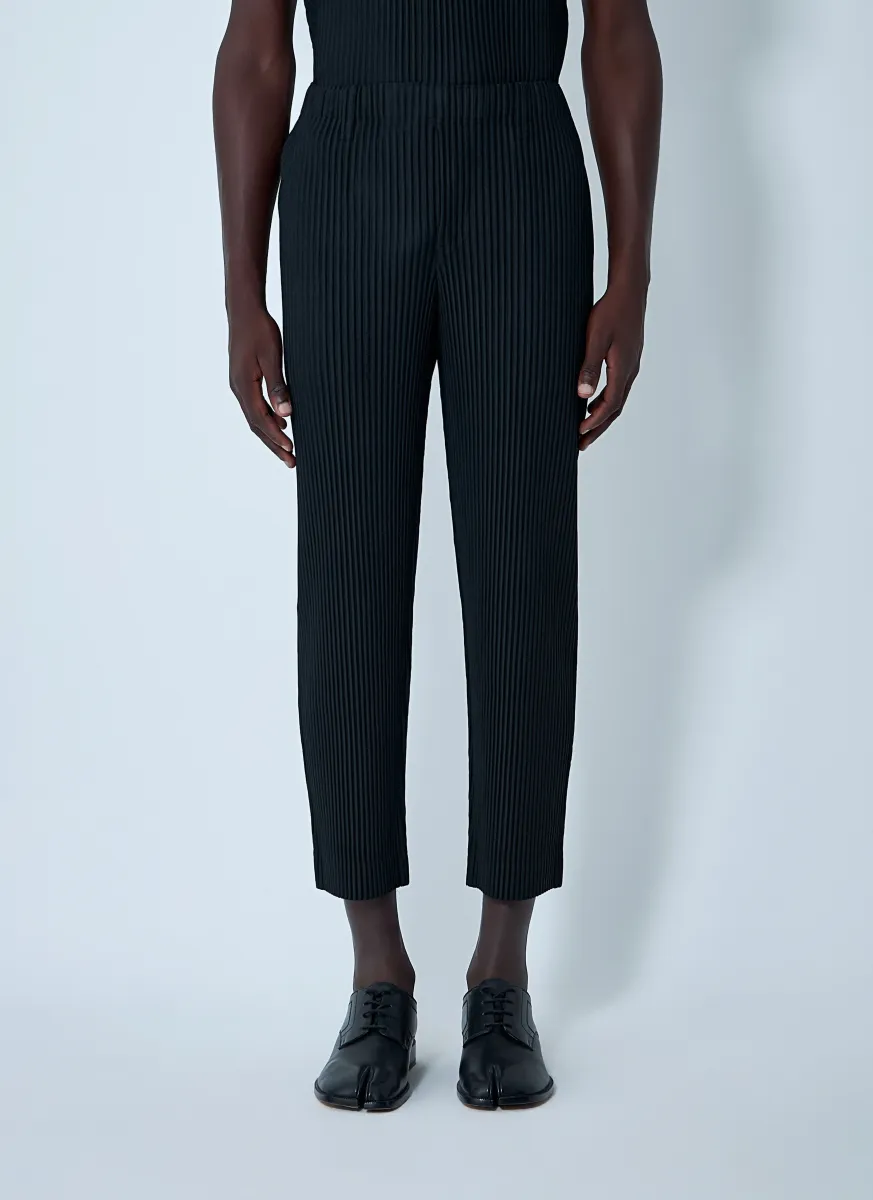 Pleated Pants