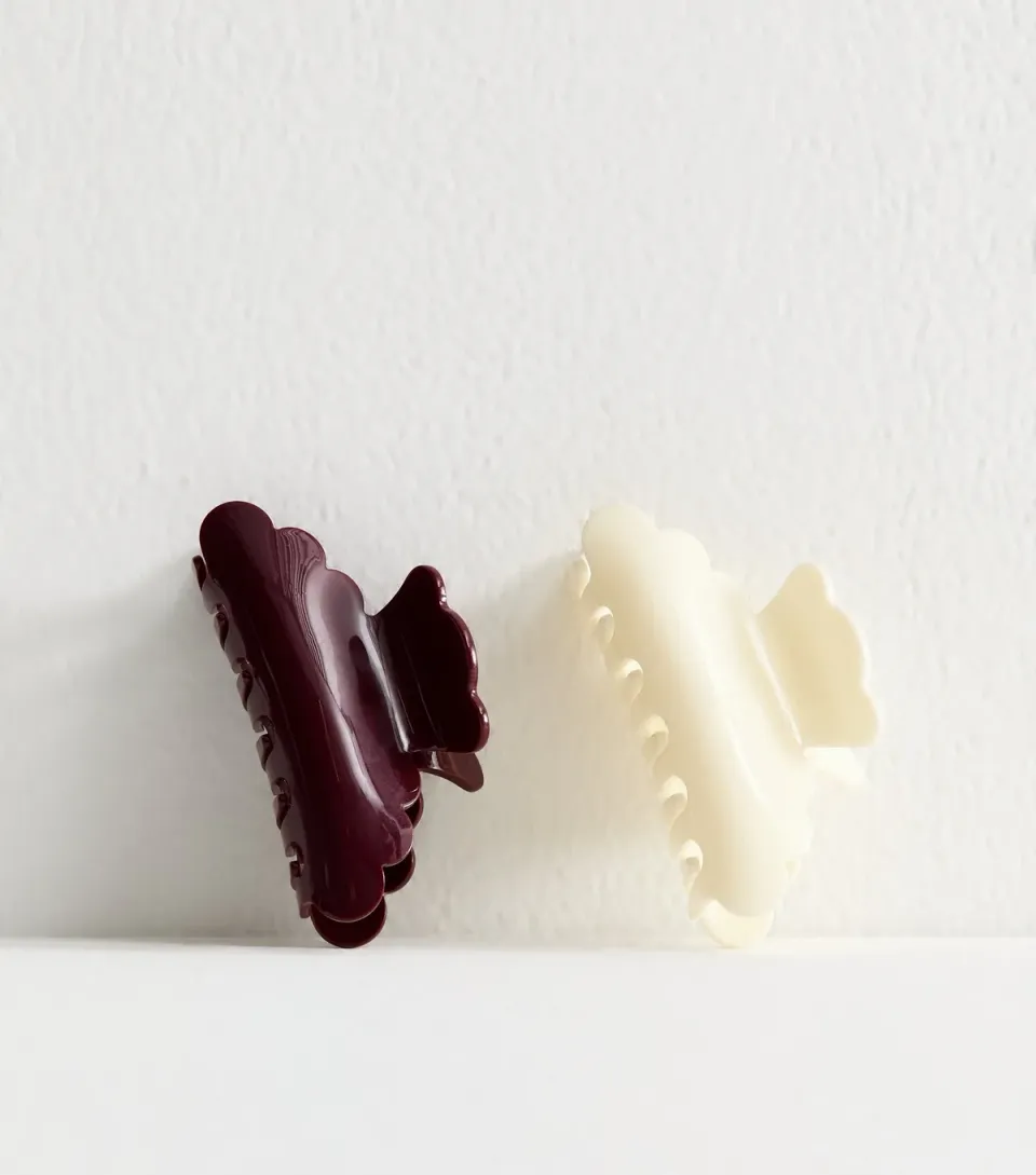Pack of 2 Multicoloured Hair Clips