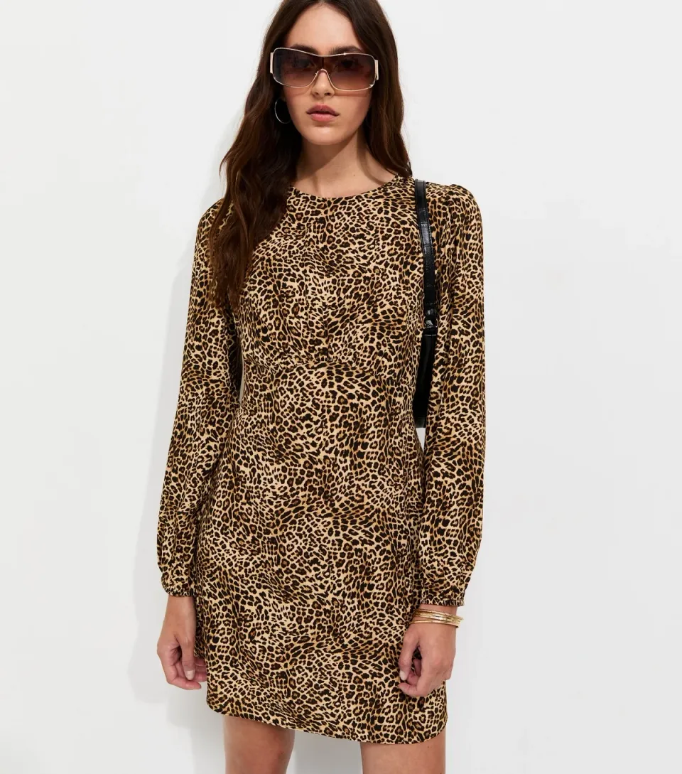 Women's Brown Animal Print Long Sleeve Mini Dress