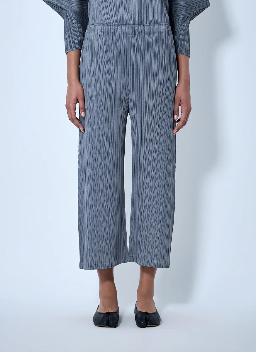 Pleated Wide-Leg Trousers