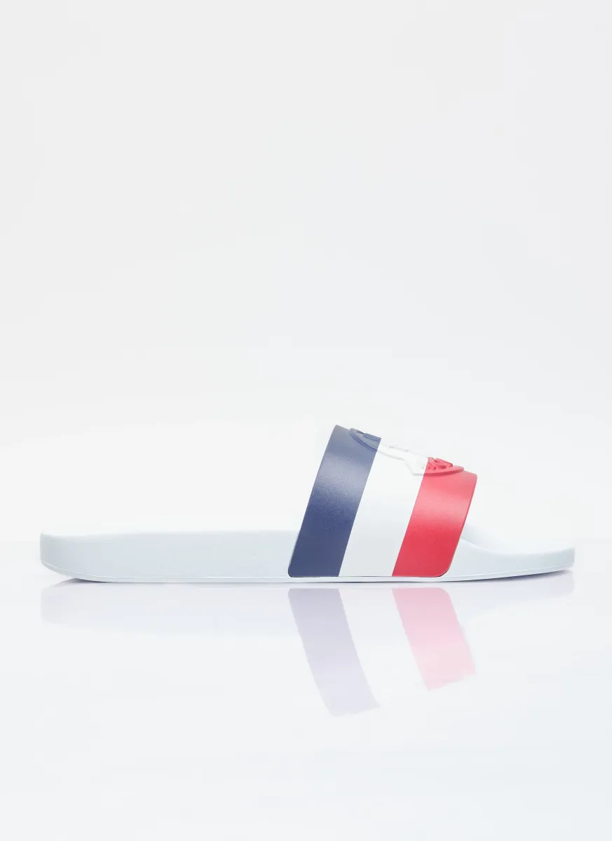 Basile Logo Print Slides